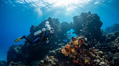 scuba diver underwater coral reef