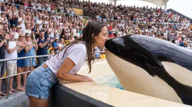 woman kissing orca at aquarium event