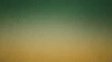 Grainy Forest & Mustard gradient background