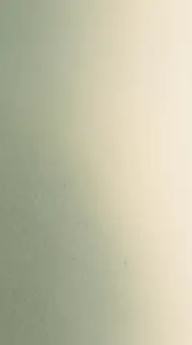 Grainy Sage & Cream gradient background