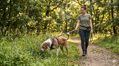 Woman Walking Dog Through Forest Path